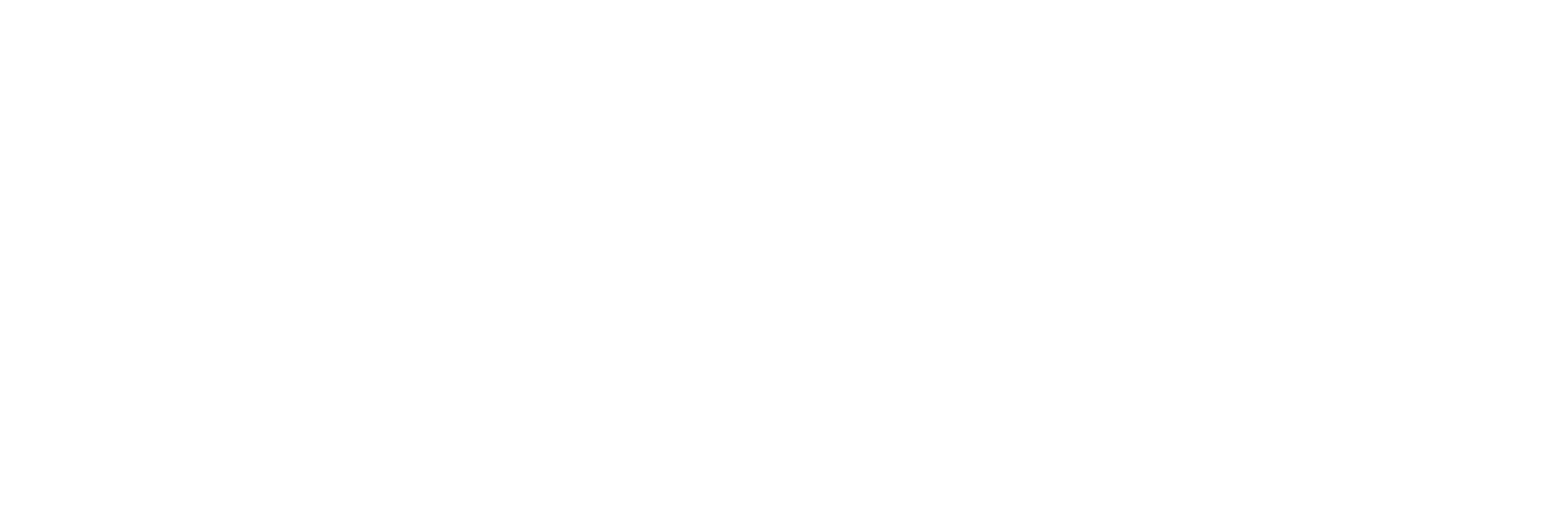 visawhite